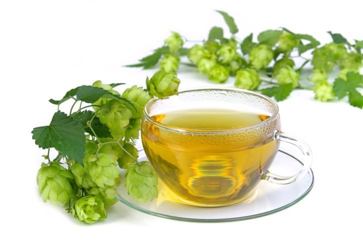 Hopfen Tee